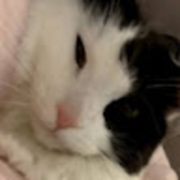 coopermarshall4